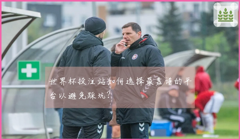 世界杯投注站如何选择最靠谱的平台以避免踩坑？