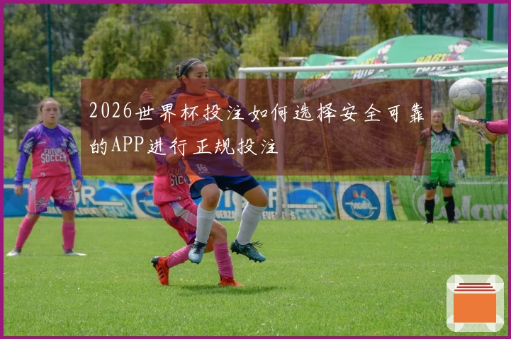 2026世界杯投注如何选择安全可靠的APP进行正规投注