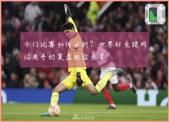 冷门比赛如何分析？世界杯竞猜网站老手的复盘经验分享