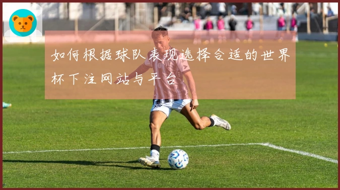 如何根据球队表现选择合适的世界杯下注网站与平台