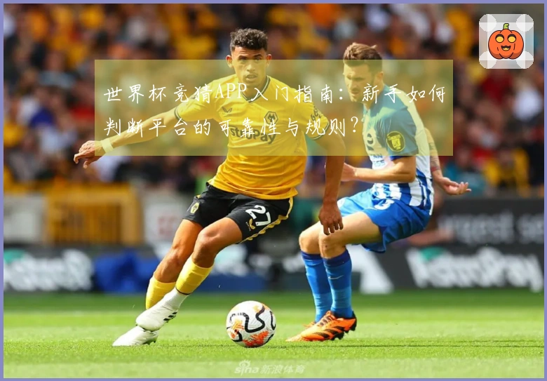 世界杯竞猜APP入门指南：新手如何判断平台的可靠性与规则？