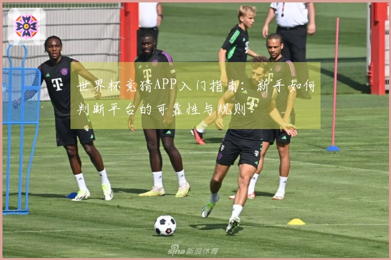 世界杯竞猜APP入门指南：新手如何判断平台的可靠性与规则？