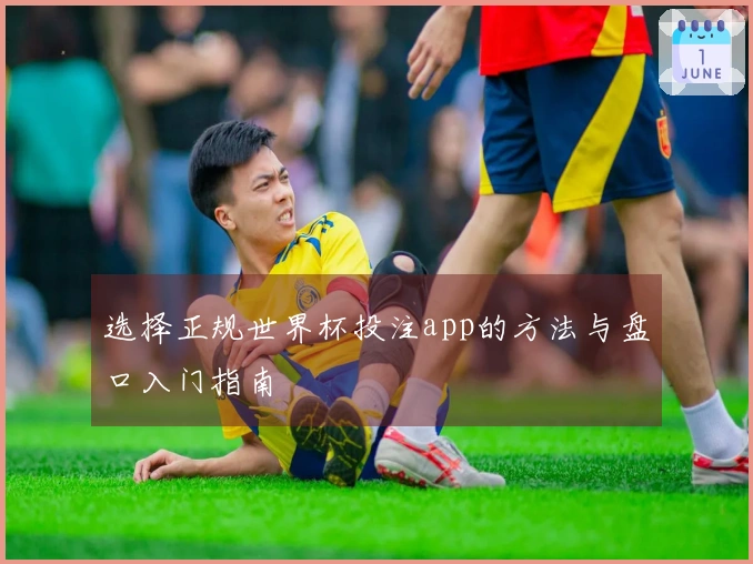 选择正规世界杯投注app的方法与盘口入门指南